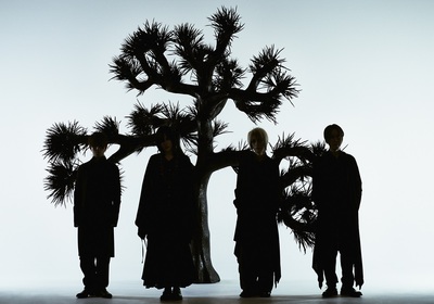 Plastic Tree アルバムシングル30枚セット Plastic Tree アルバムシングル30枚セット - メルカリ